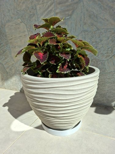 Virág cserép alátét - köralakú / 13-23cm belső mérettel / 3cm magas